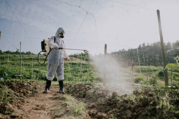 Best Best Pest Control Companies  in South Hempstead, NY
