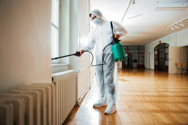 Best Bed Bug Extermination  in South Hempstead, NY